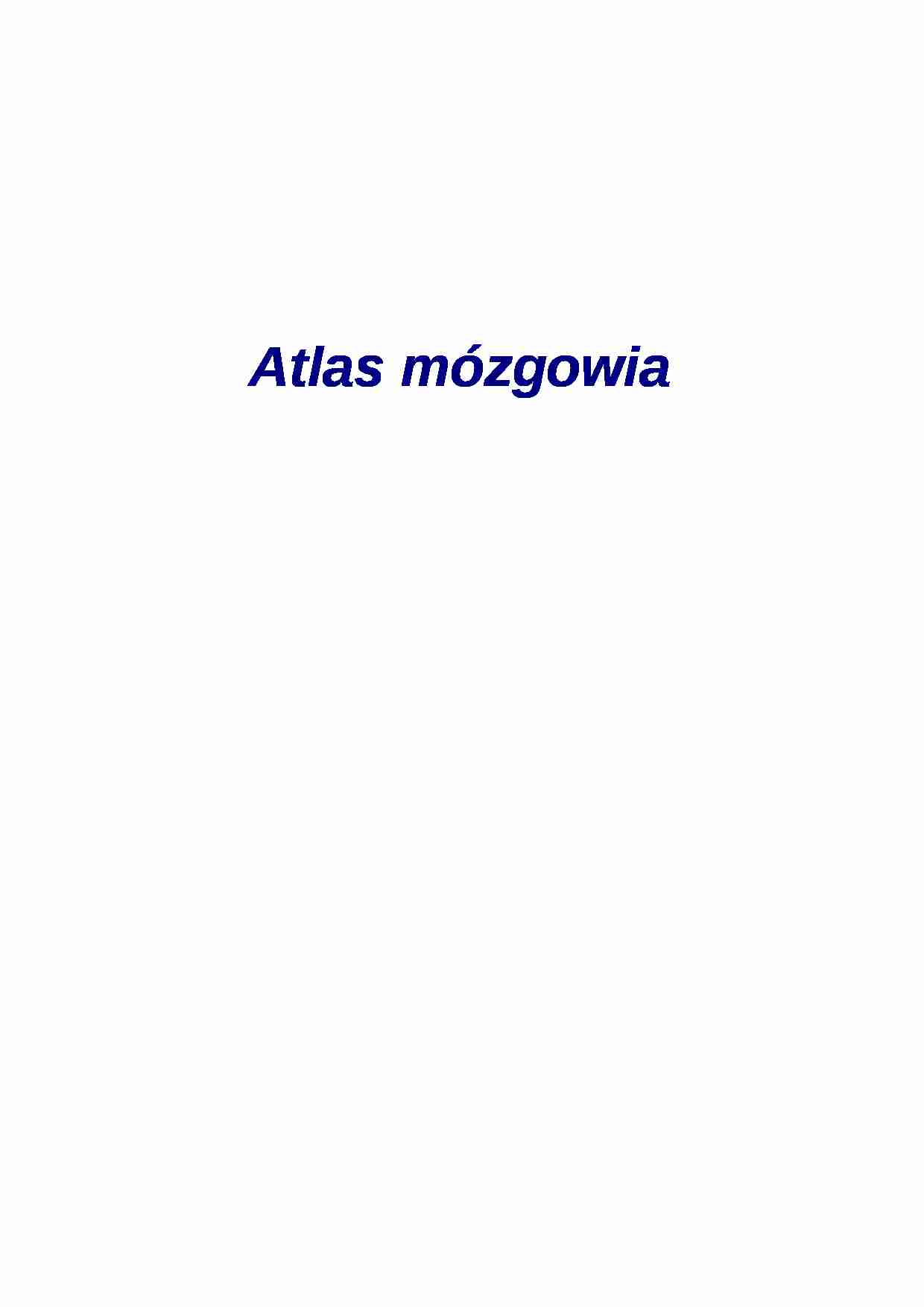 Atlas mózgowia - strona 1
