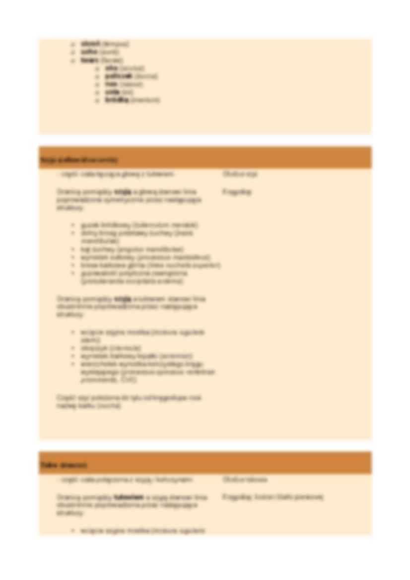 Części ciała człowieka - strona 2