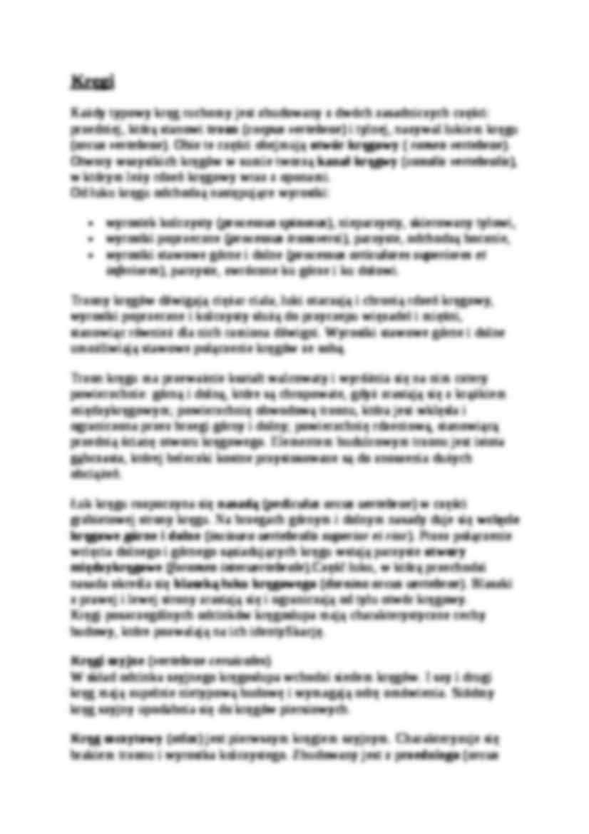 Kręgosłup-budowa - strona 2