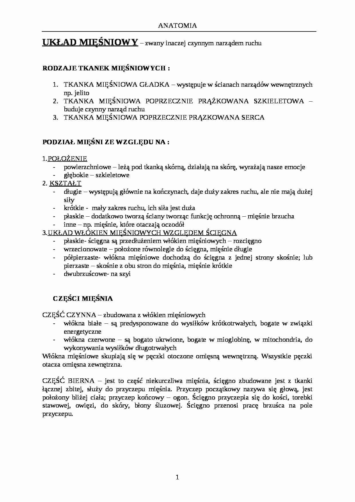 Układ mięśniowy - strona 1