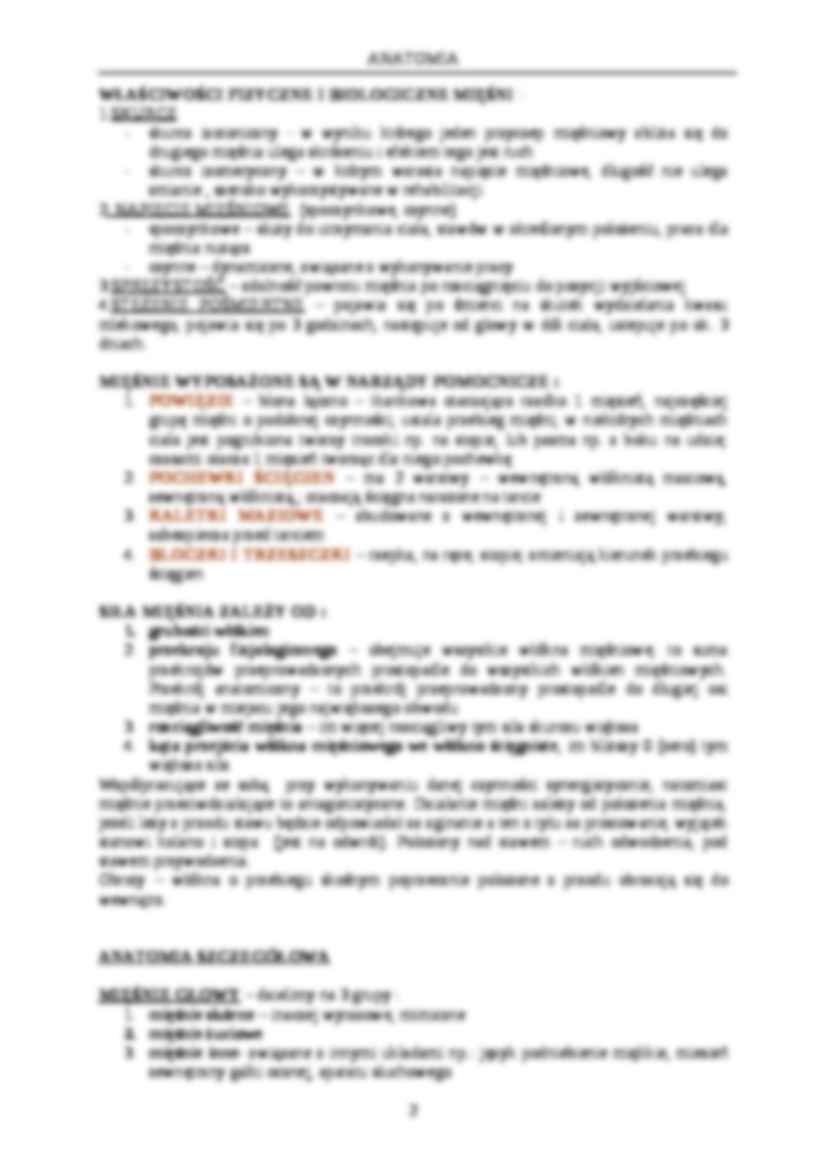 Układ mięśniowy - strona 2