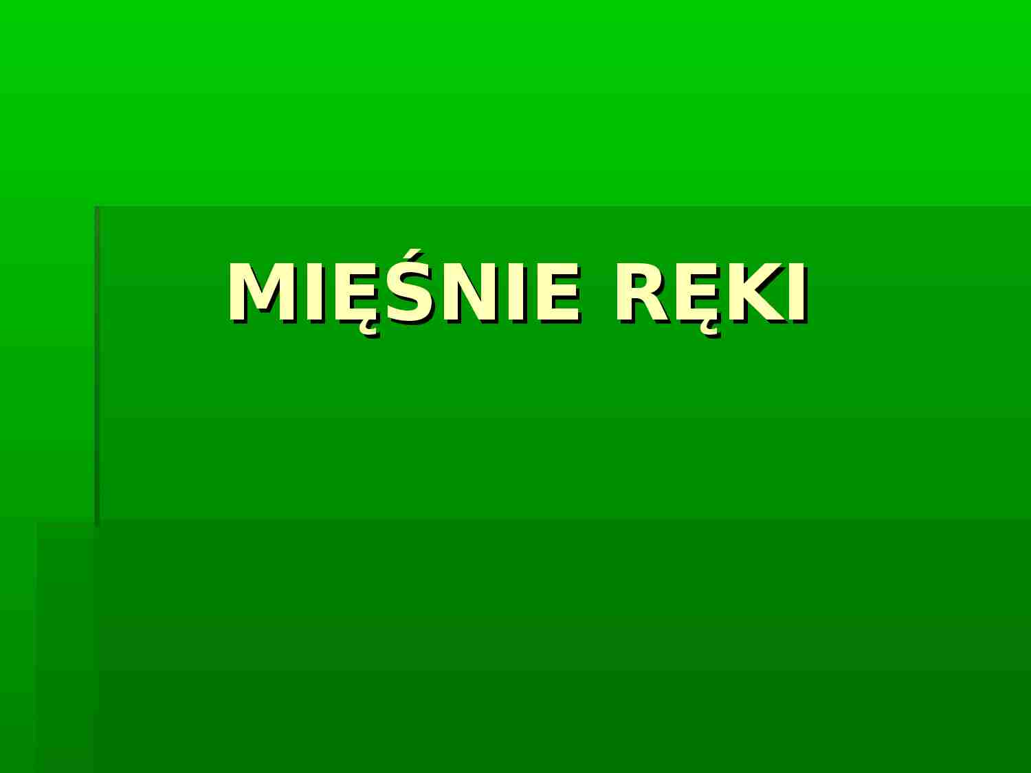 Mięśnie ręki - strona 1