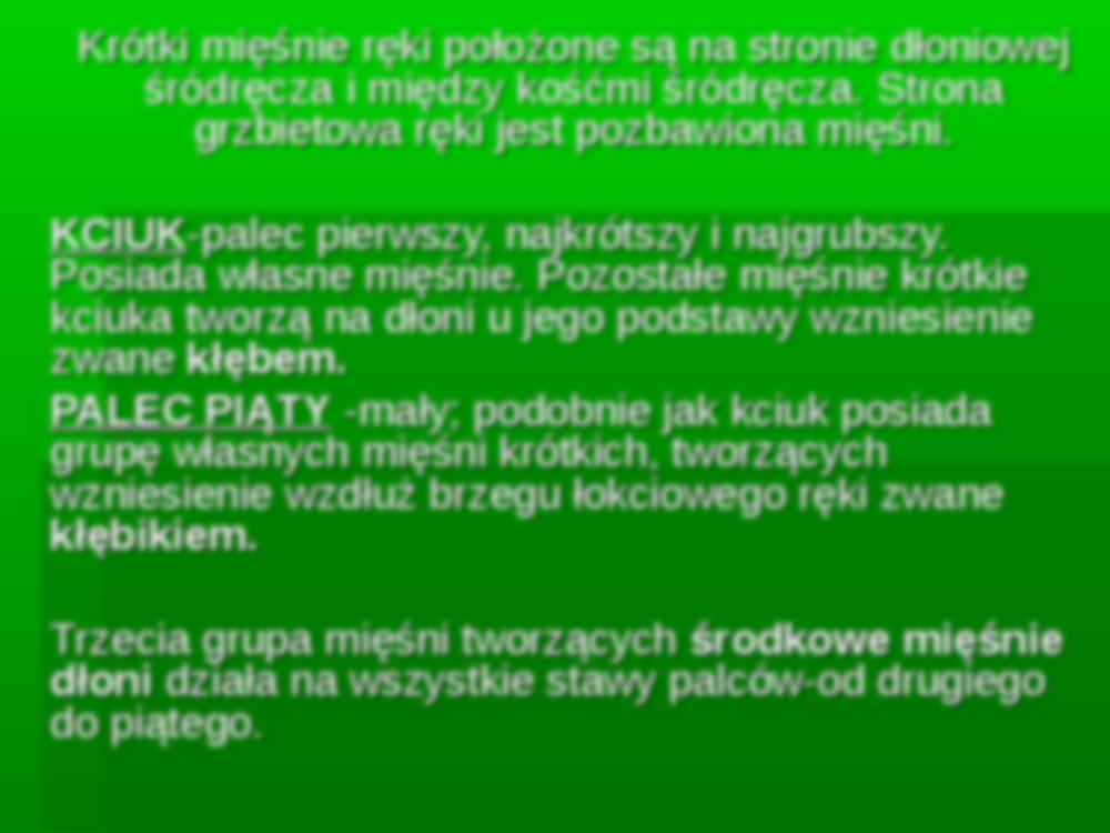 Mięśnie ręki - strona 2