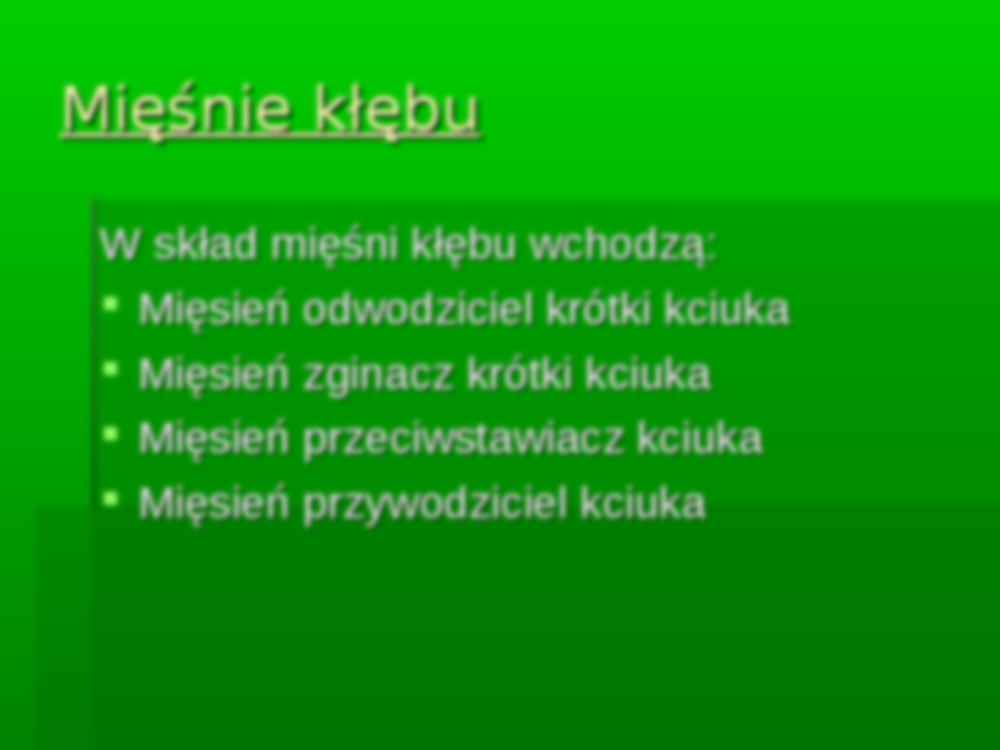 Mięśnie ręki - strona 3