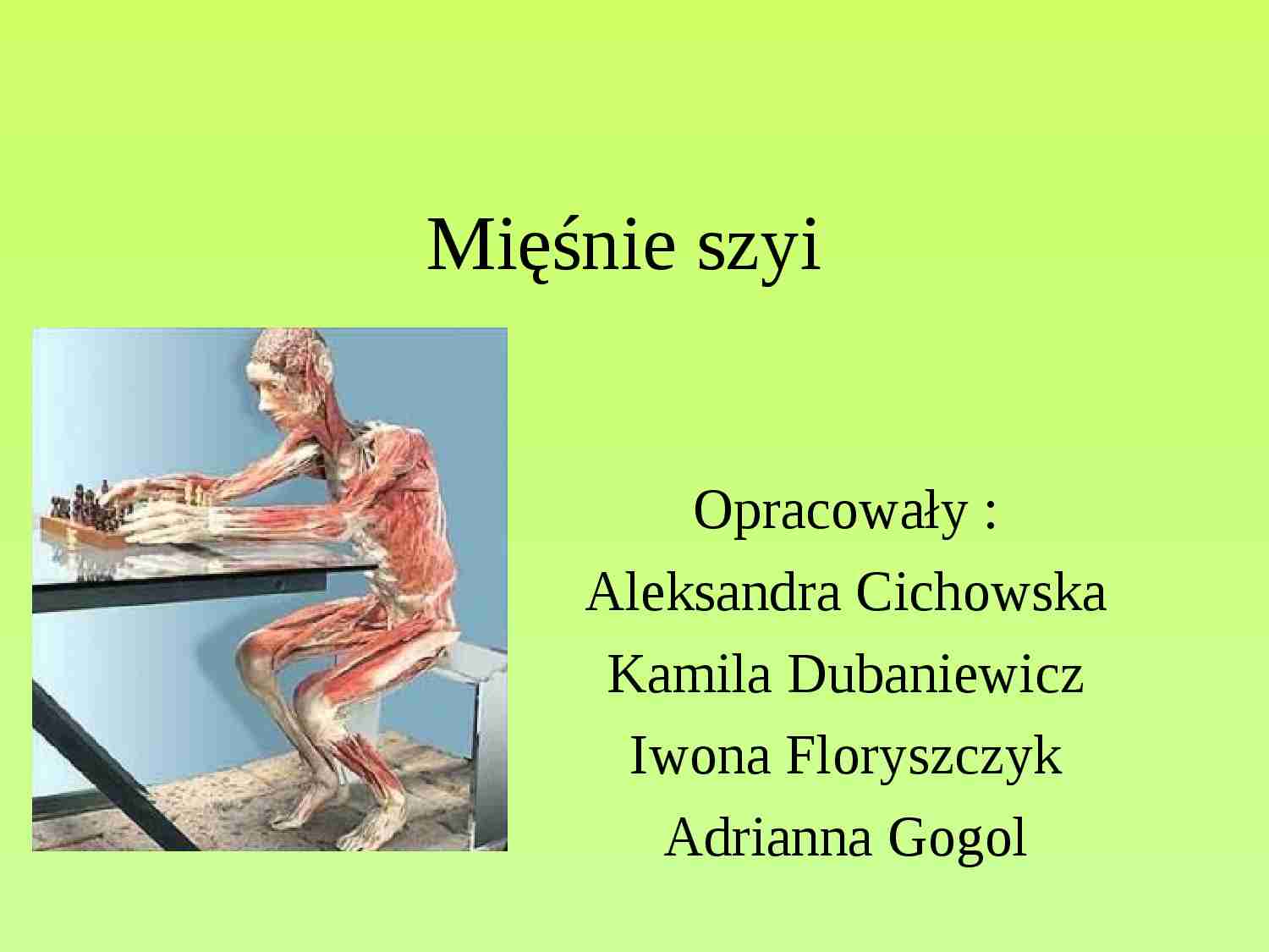 Mięśnie szyi- anatomia - Żuchwa - strona 1