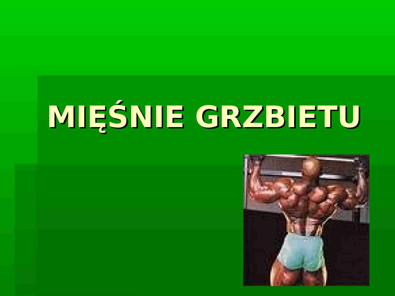 Mięśnie grzbietu-anatomia - strona 1