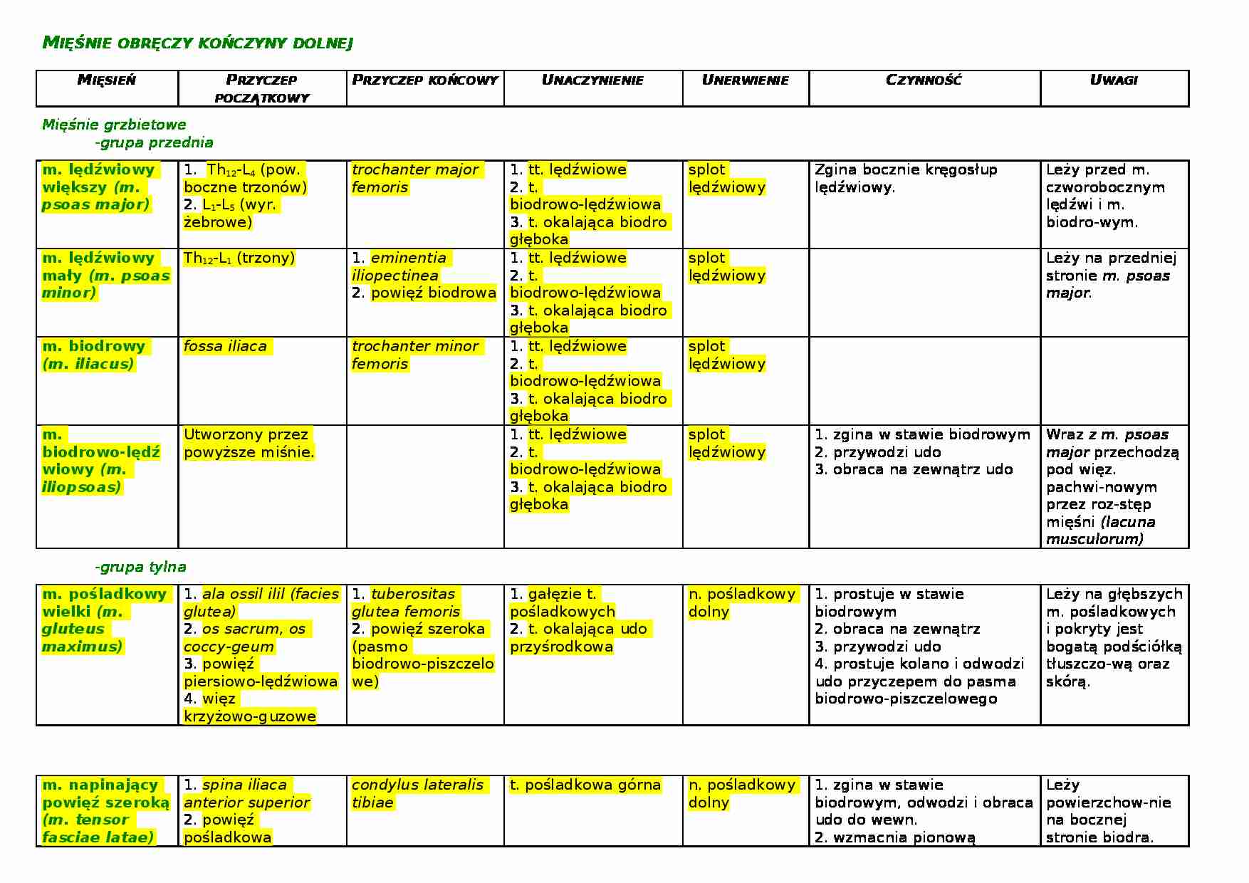 Mięśnie kończyny dolnej-anatomia - strona 1