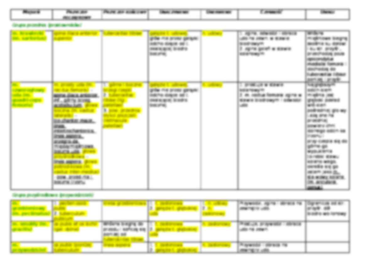 Mięśnie kończyny dolnej-anatomia - strona 3