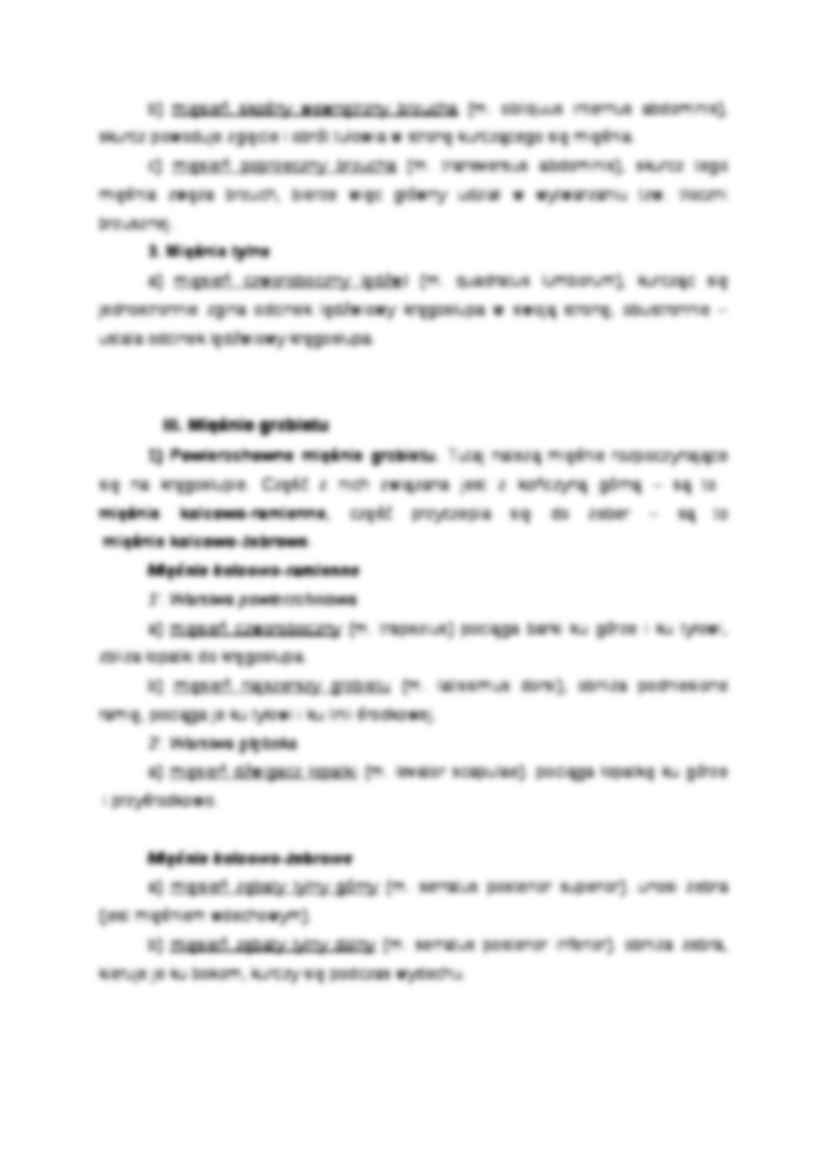 Mięśnie tułowia - strona 2