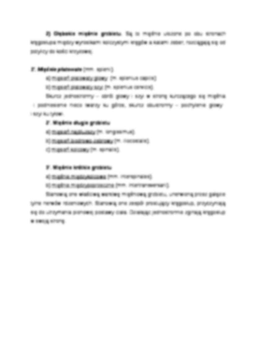 Mięśnie tułowia - strona 3