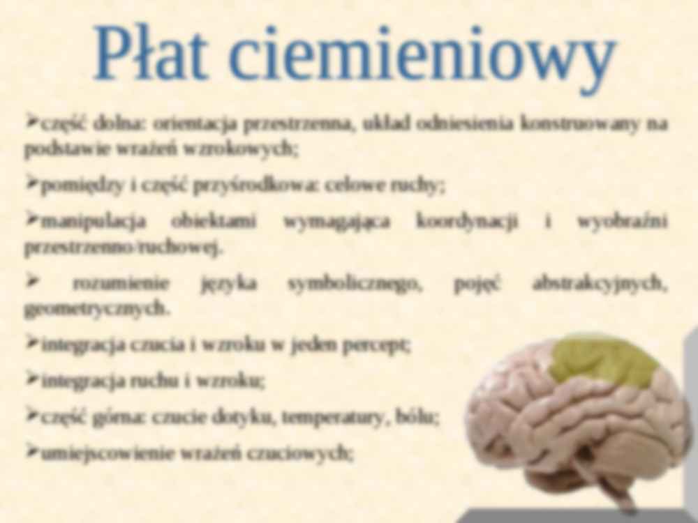 Osrodki w płatach kresomózgowia - strona 3