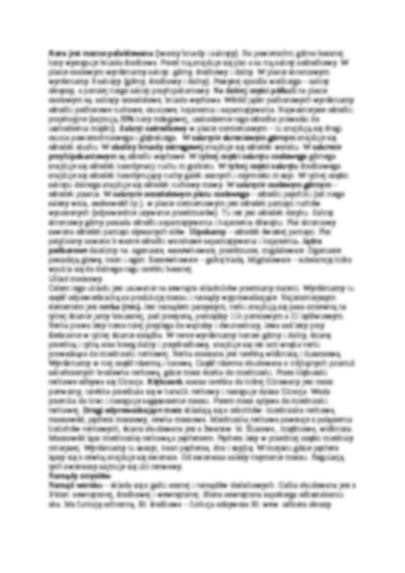 Układ chłonny ,nerwowy, narzady zmysłów - strona 2