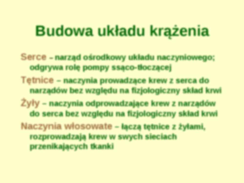 Układ krążenia-repetytorium - strona 2