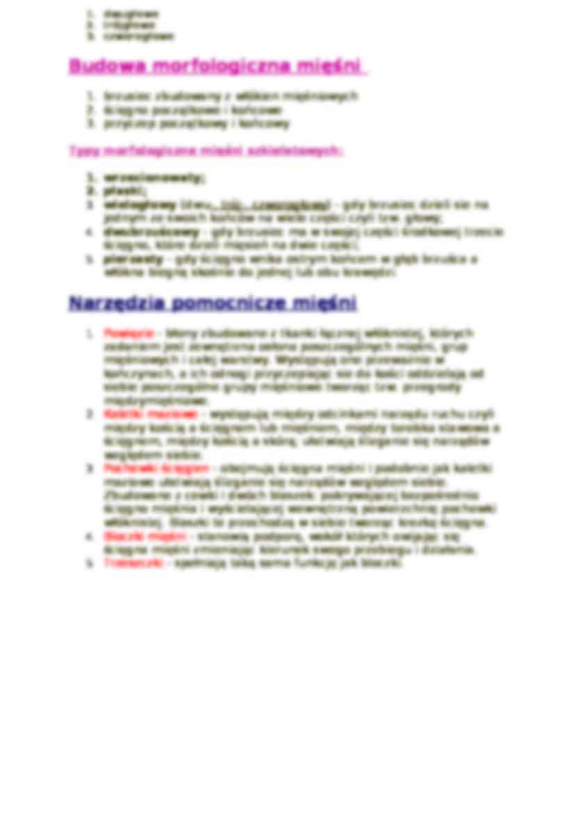 Układ mięśniowy - strona 2