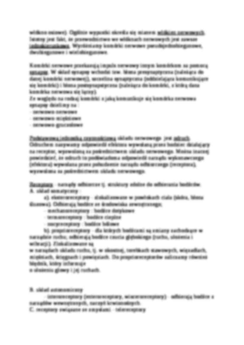 Układ nerwowy-wprowadzenie do anatomii  - strona 3