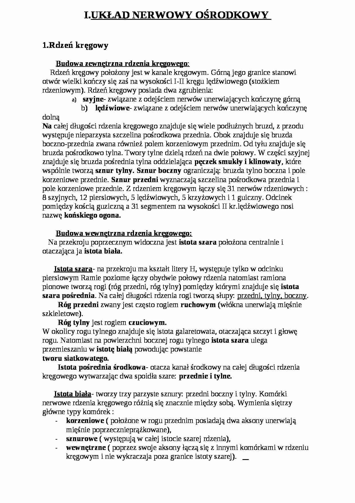 Układ nerwowy ośrodkowy - strona 1