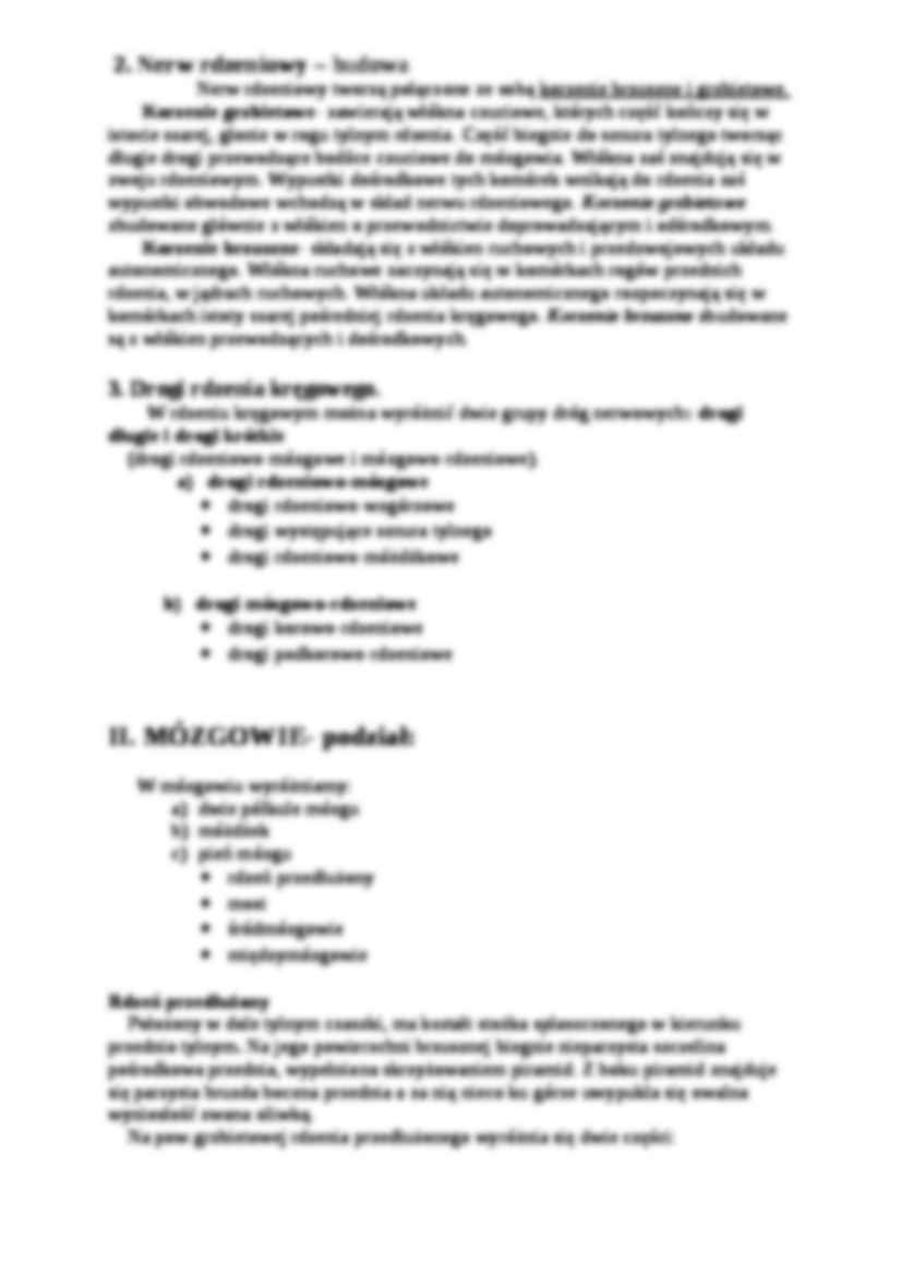 Układ nerwowy ośrodkowy - strona 2