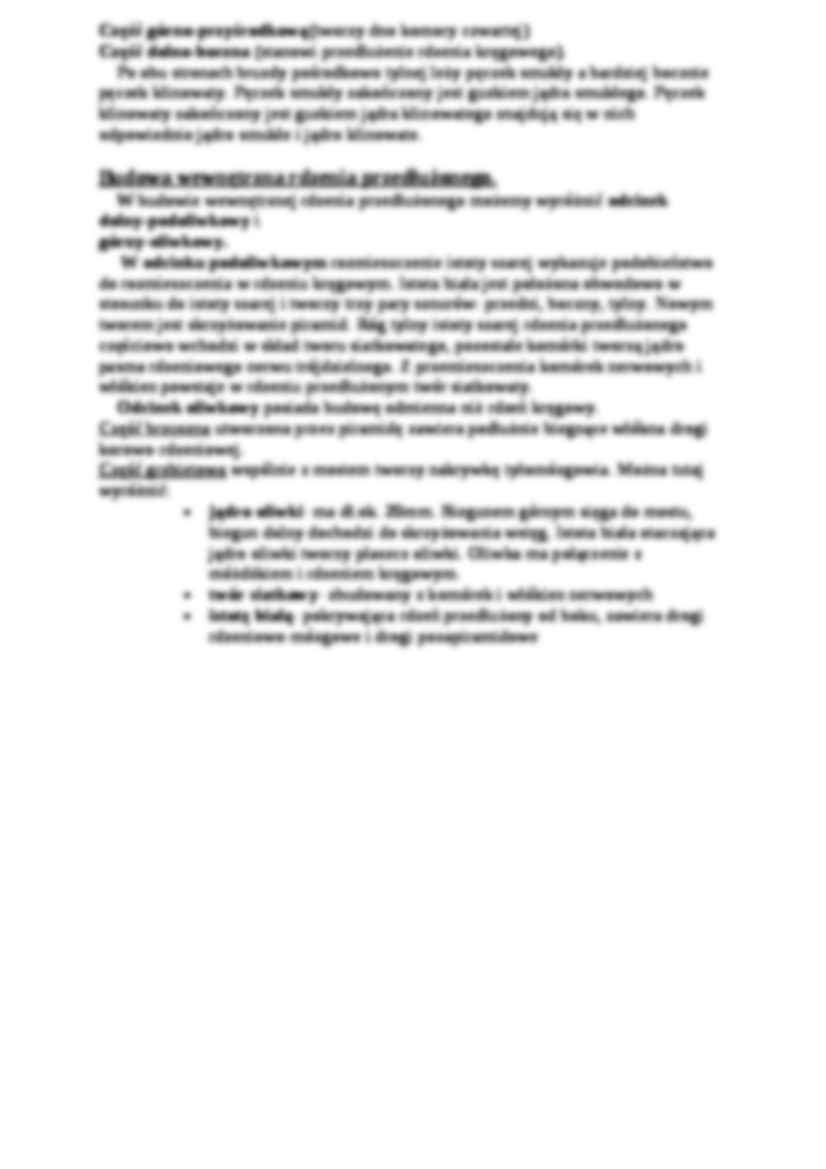 Układ nerwowy ośrodkowy - strona 3