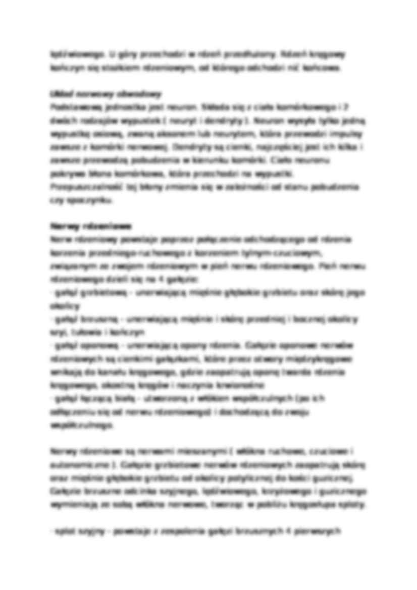 Układ nerwowy - strona 2
