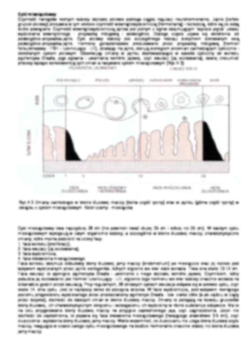 Układ płciowy - strona 2