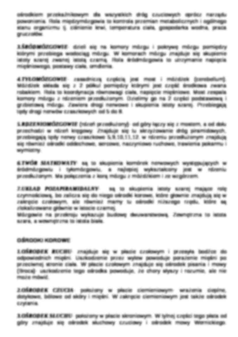 Układ nerwowy - strona 2