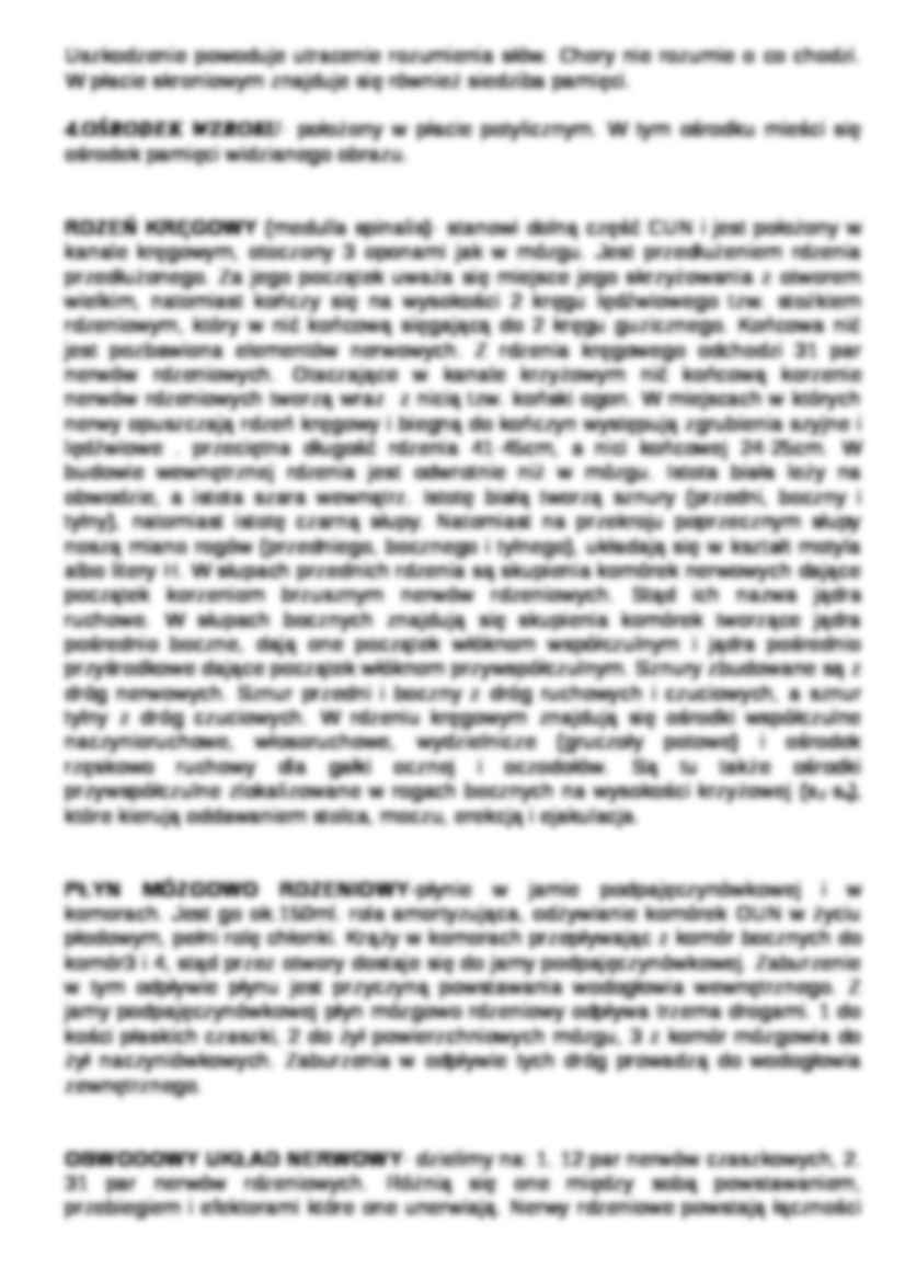 Układ nerwowy - strona 3