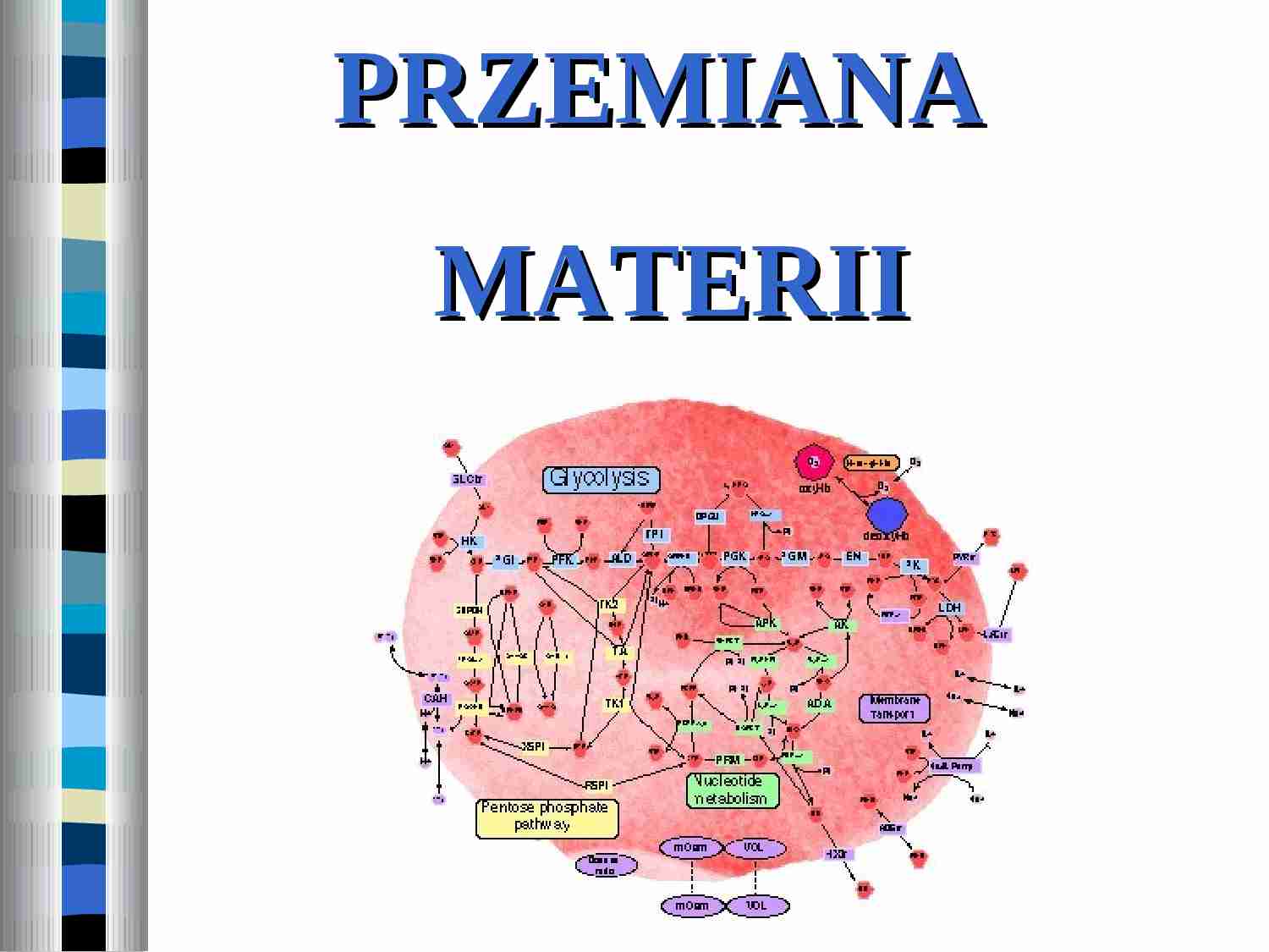 Przemiana materii - strona 1