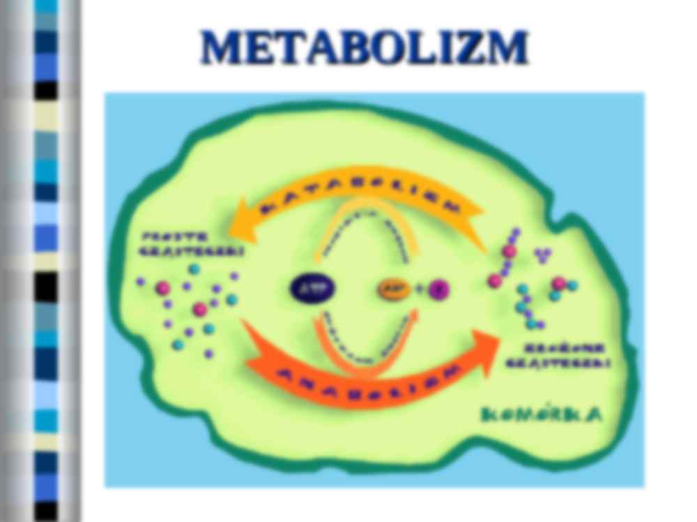 Przemiana materii - strona 2