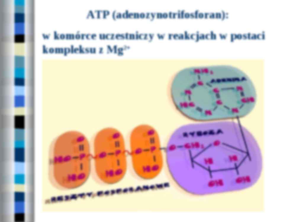 Przemiana materii - strona 3