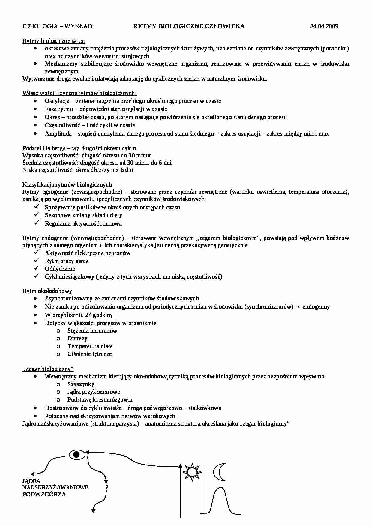 Rytmy biologiczne człowieka - Podział Halberga - strona 1