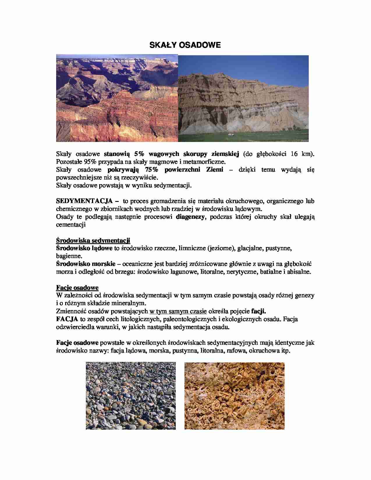Skały osadowe - strona 1