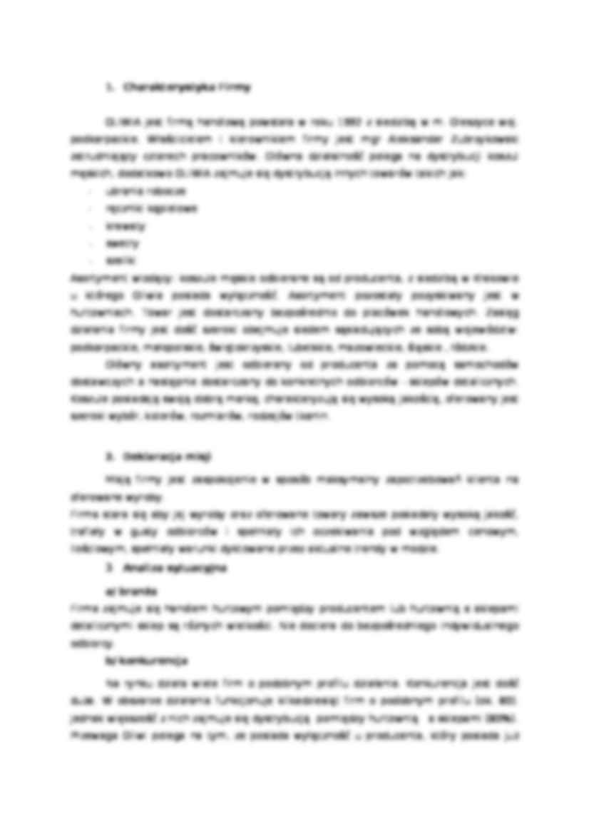 Plan marketingowy - firma handlowa - strona 2