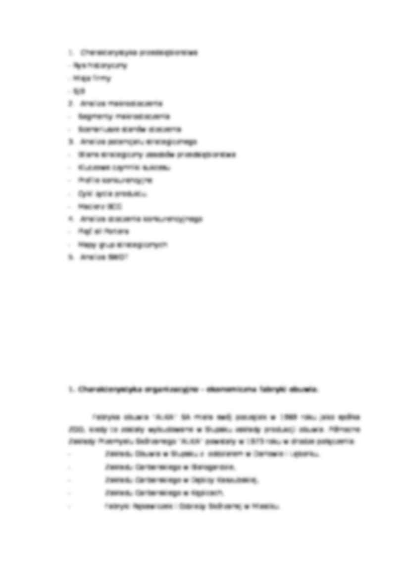 Plan marketingowy  - fabryka obuwia  - strona 2