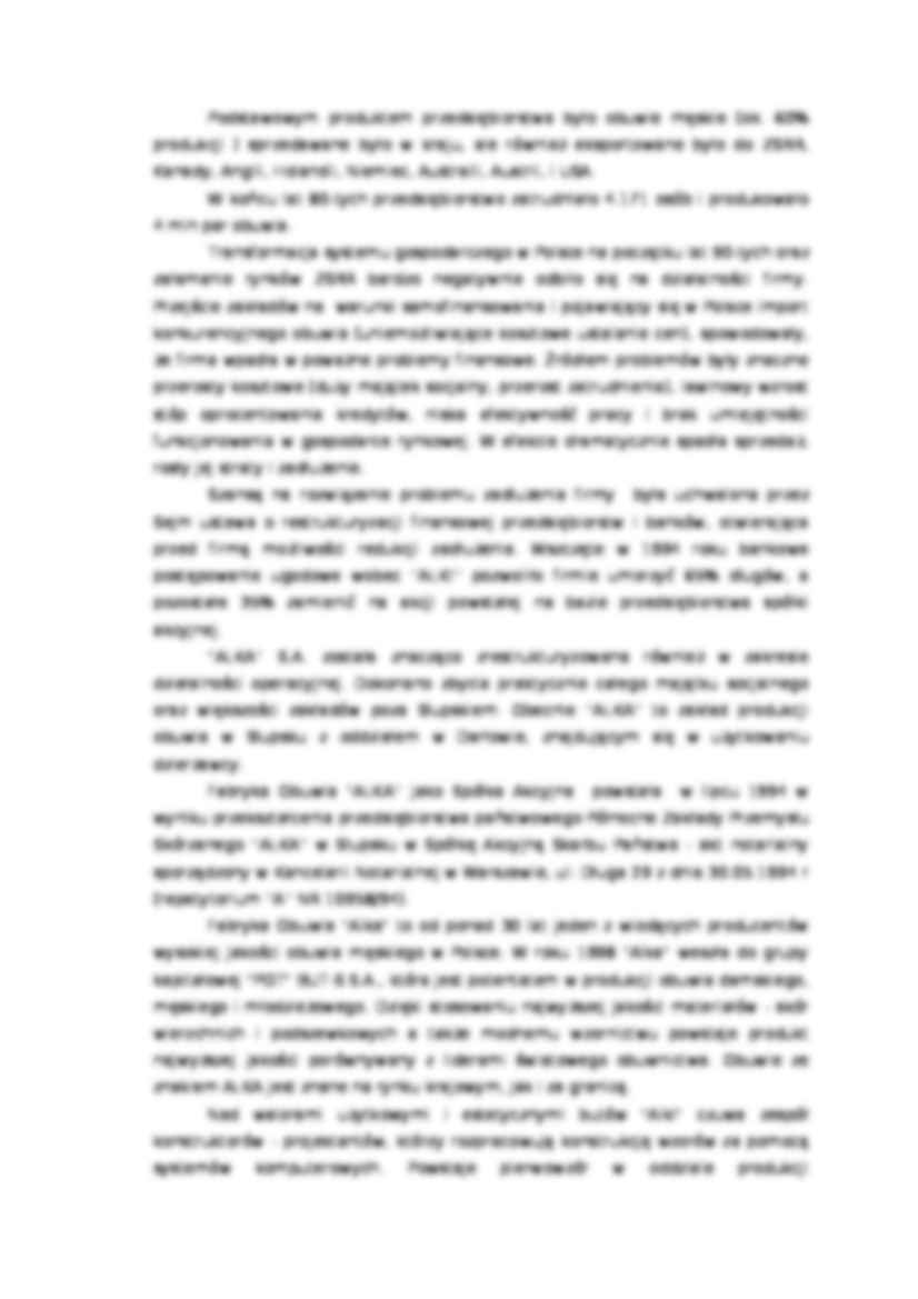 Plan marketingowy  - fabryka obuwia  - strona 3
