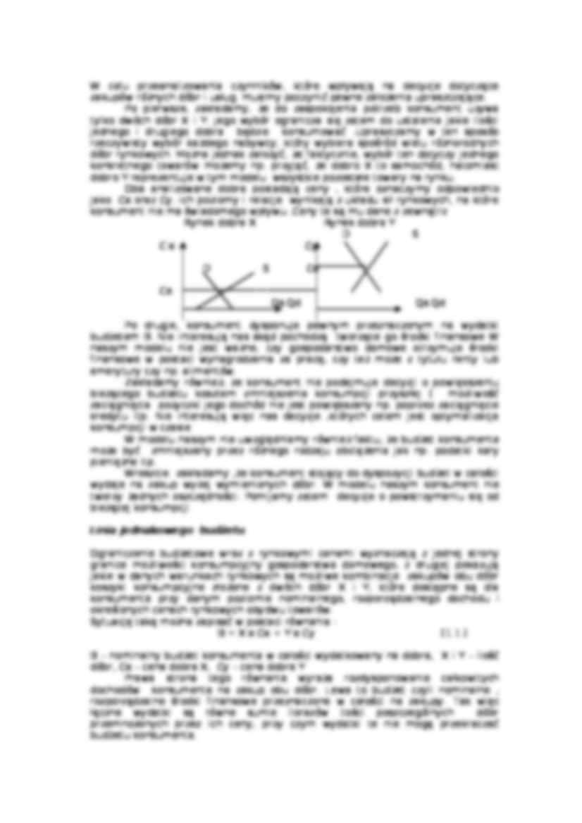 Popytowa strona rynku - Dobra komplementarne - strona 3