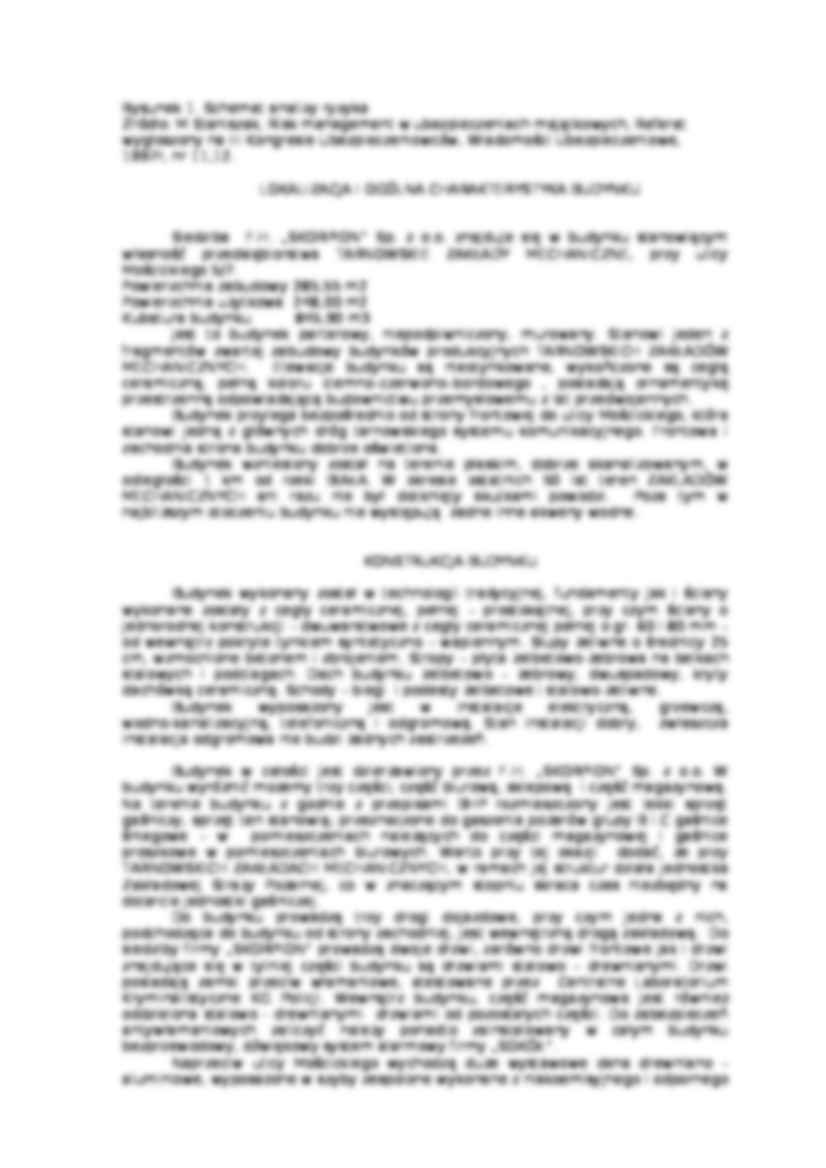 Ochrona ubezpieczeniowa dla podmiotu gospodarczego - strona 2