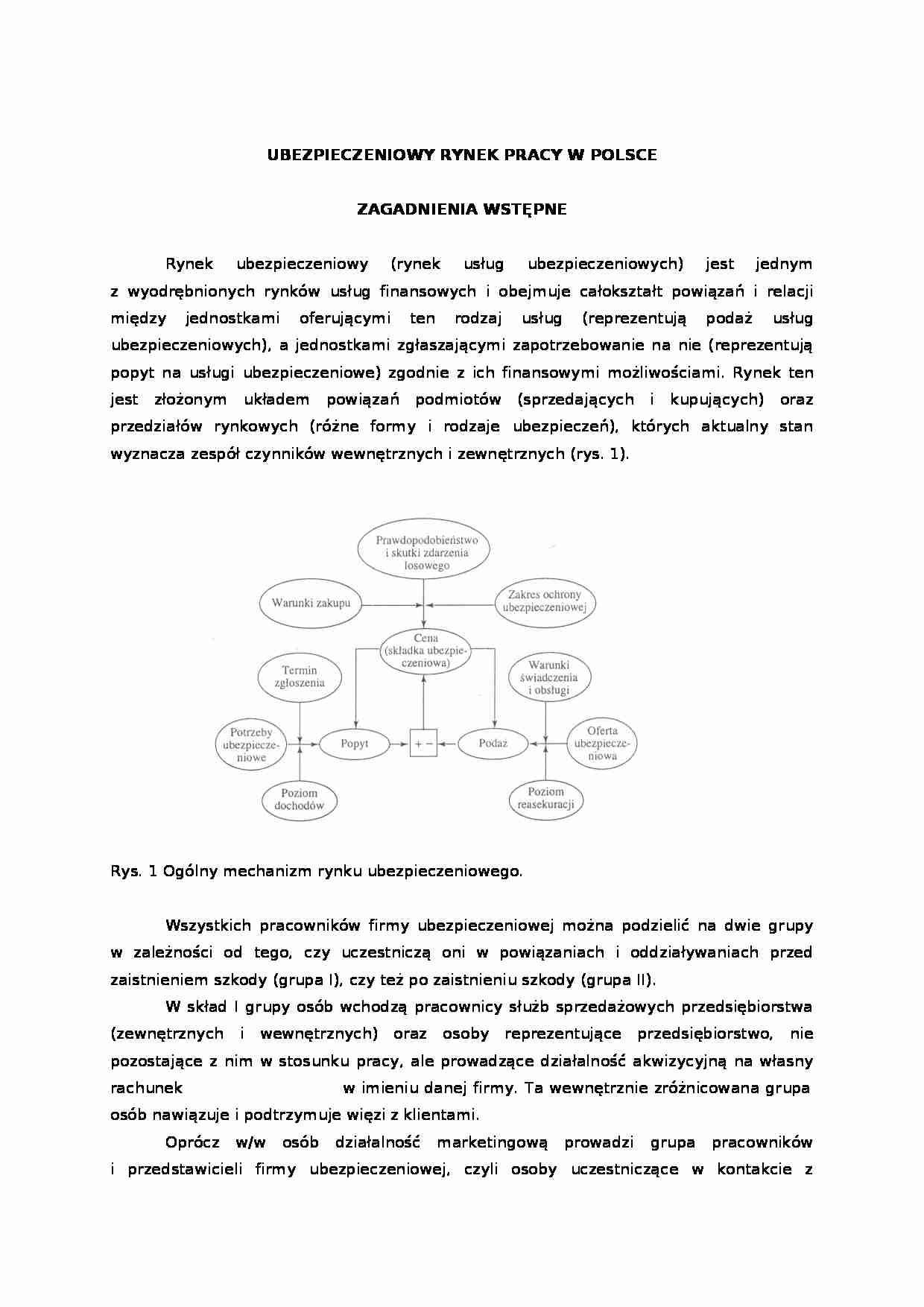 Ubezpieczeniowy rynek pracy w Polsce - strona 1