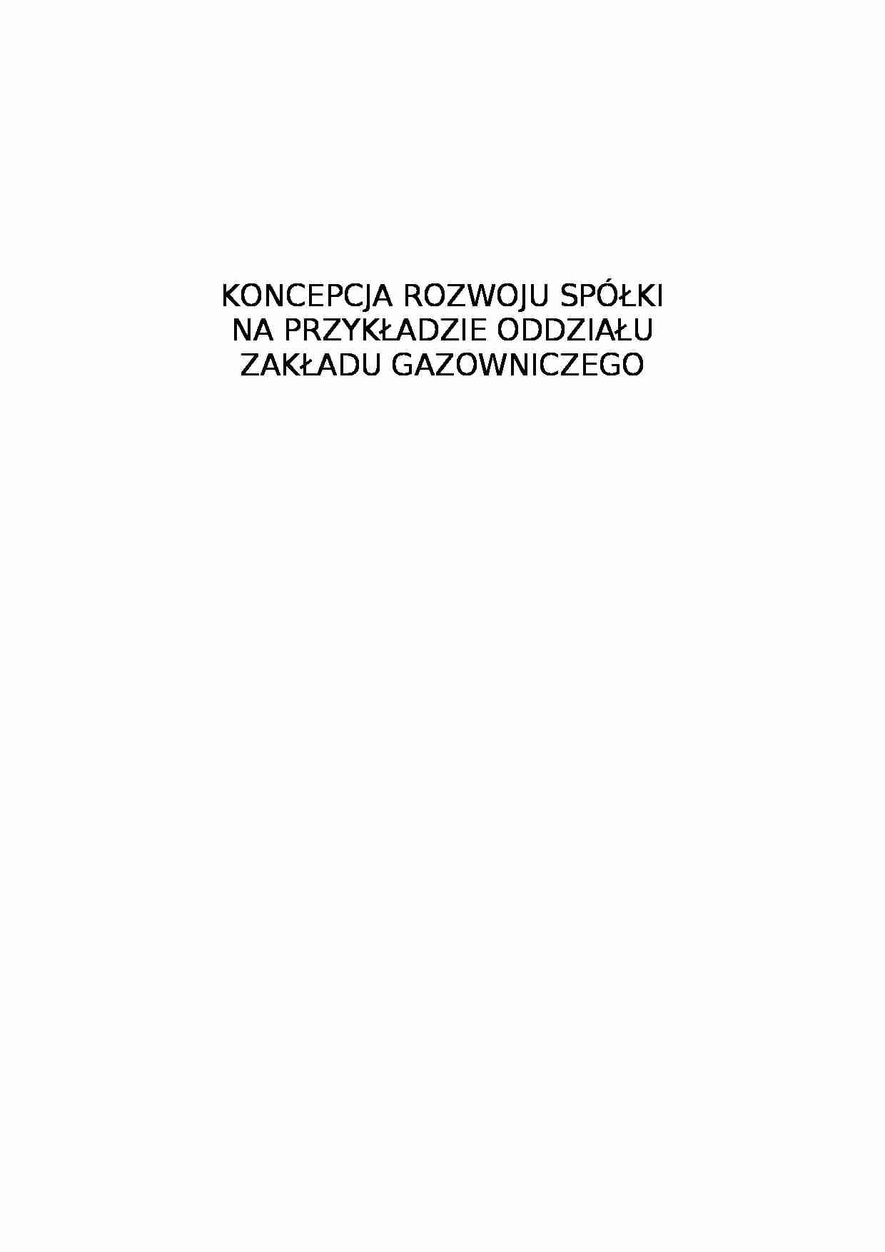 Koncepcja rozwoju spółki - Spółka dystrybucyjna - strona 1