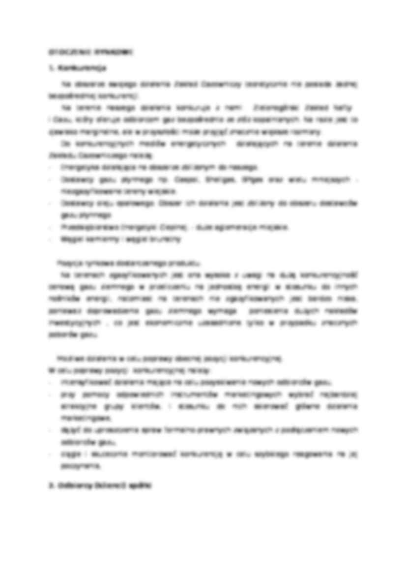 Koncepcja rozwoju spółki - Spółka dystrybucyjna - strona 3
