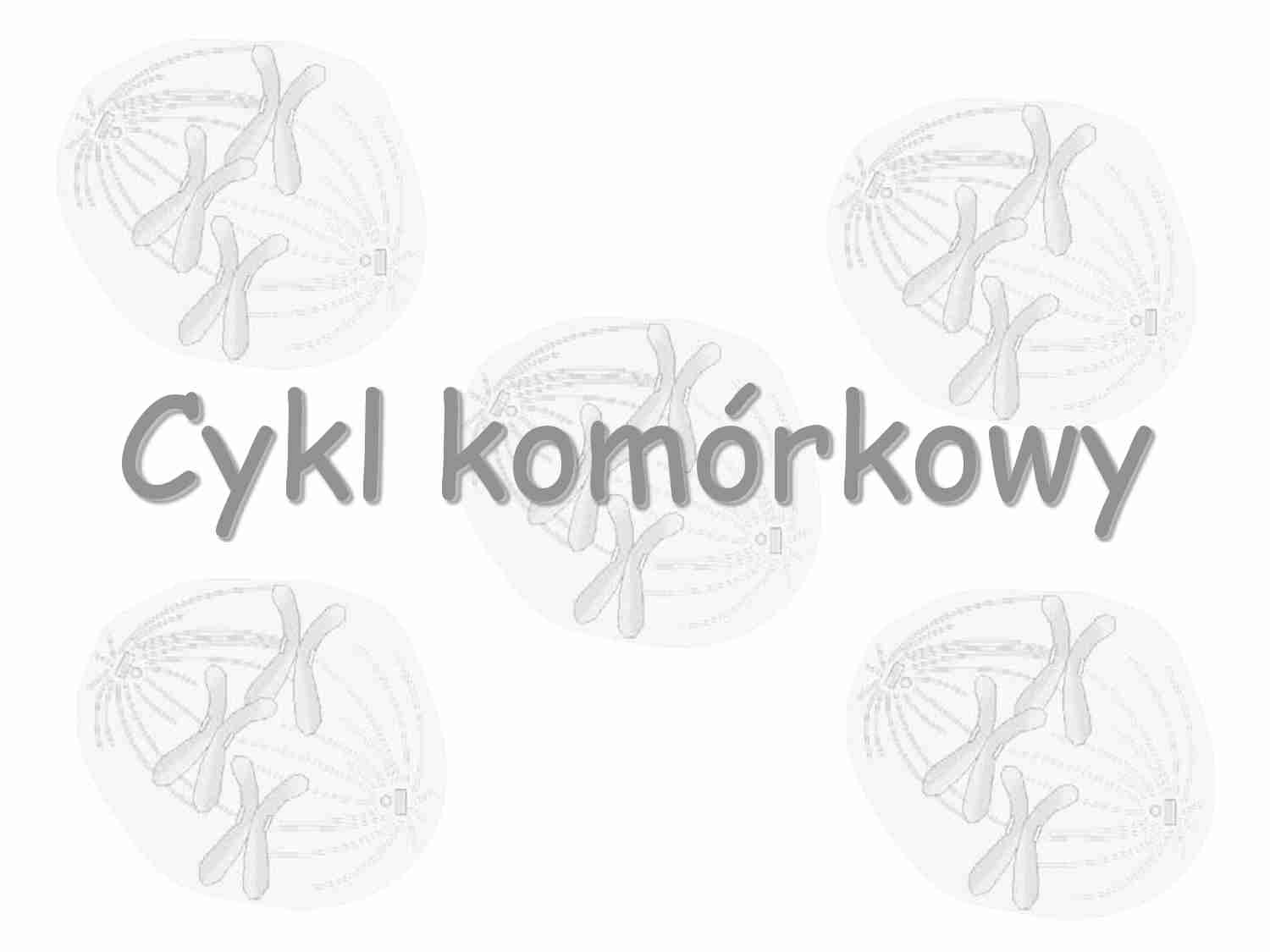 Biologia komórki - wykład 4: Cykl komórkowy  - strona 1