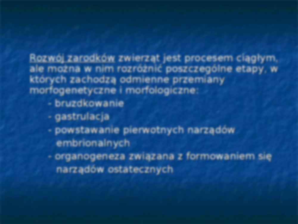 Etapy rozwiju zarodkowego - strona 2