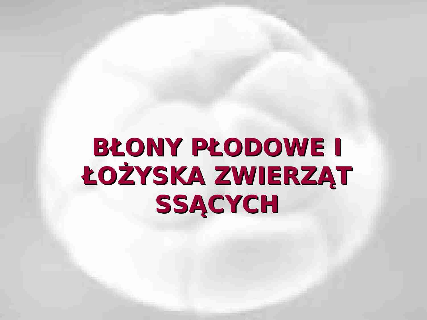 Błony płodowe i łożyska zwierząt ssących - Pęcherzyk żółtkowy - strona 1