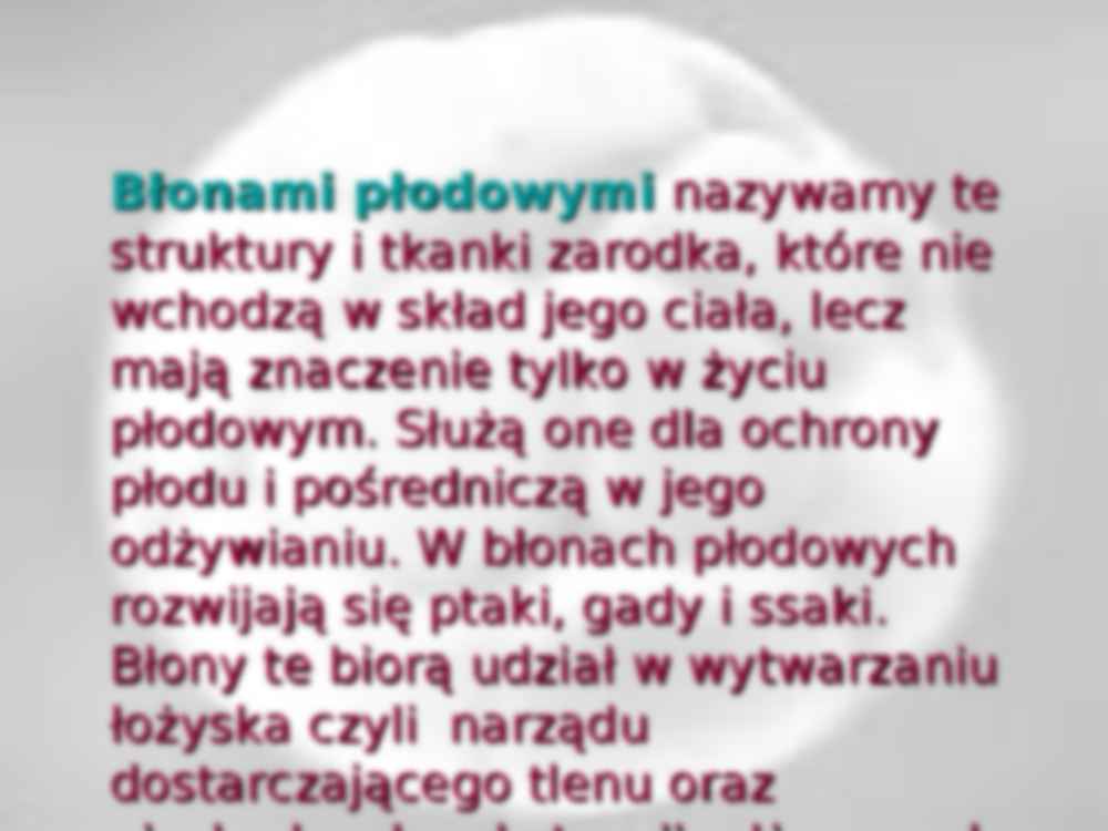 Błony płodowe i łożyska zwierząt ssących - Pęcherzyk żółtkowy - strona 2