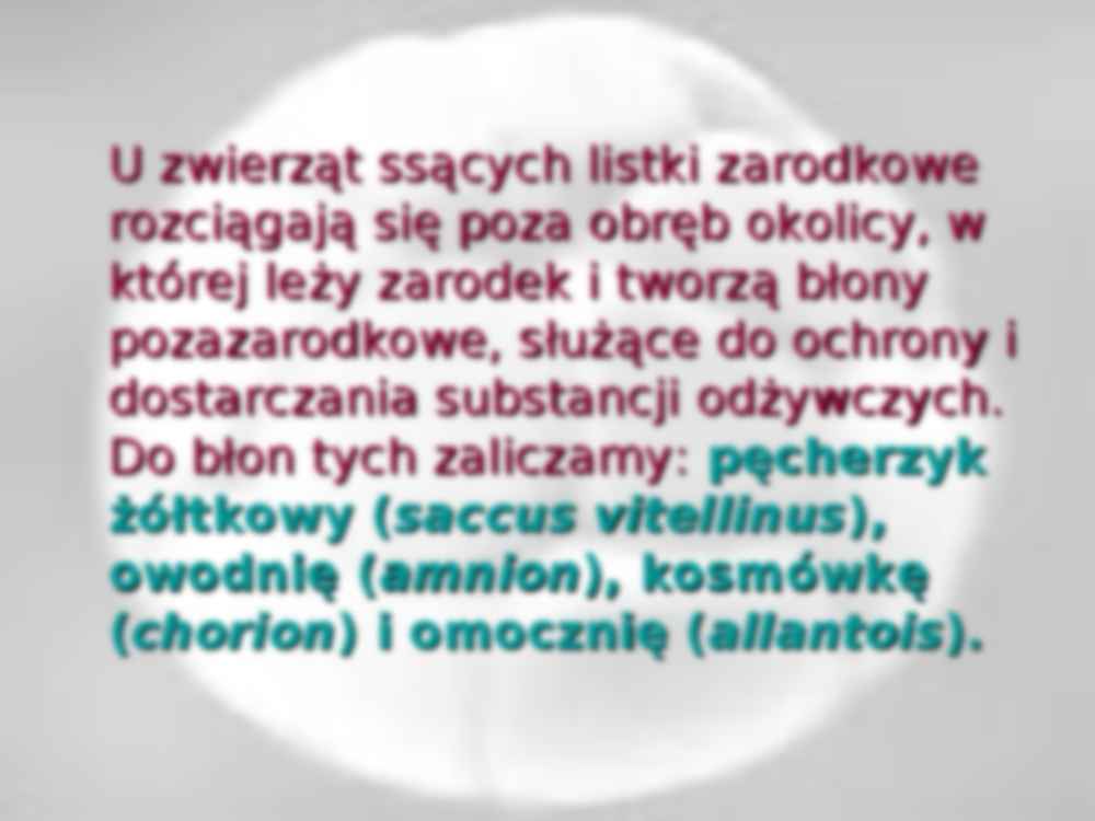 Błony płodowe i łożyska zwierząt ssących - Pęcherzyk żółtkowy - strona 3