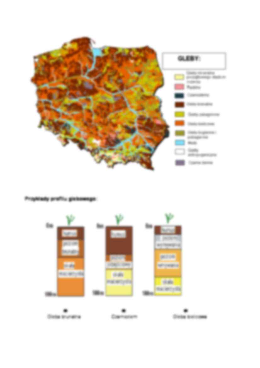 Gleby w Polsce - strona 2