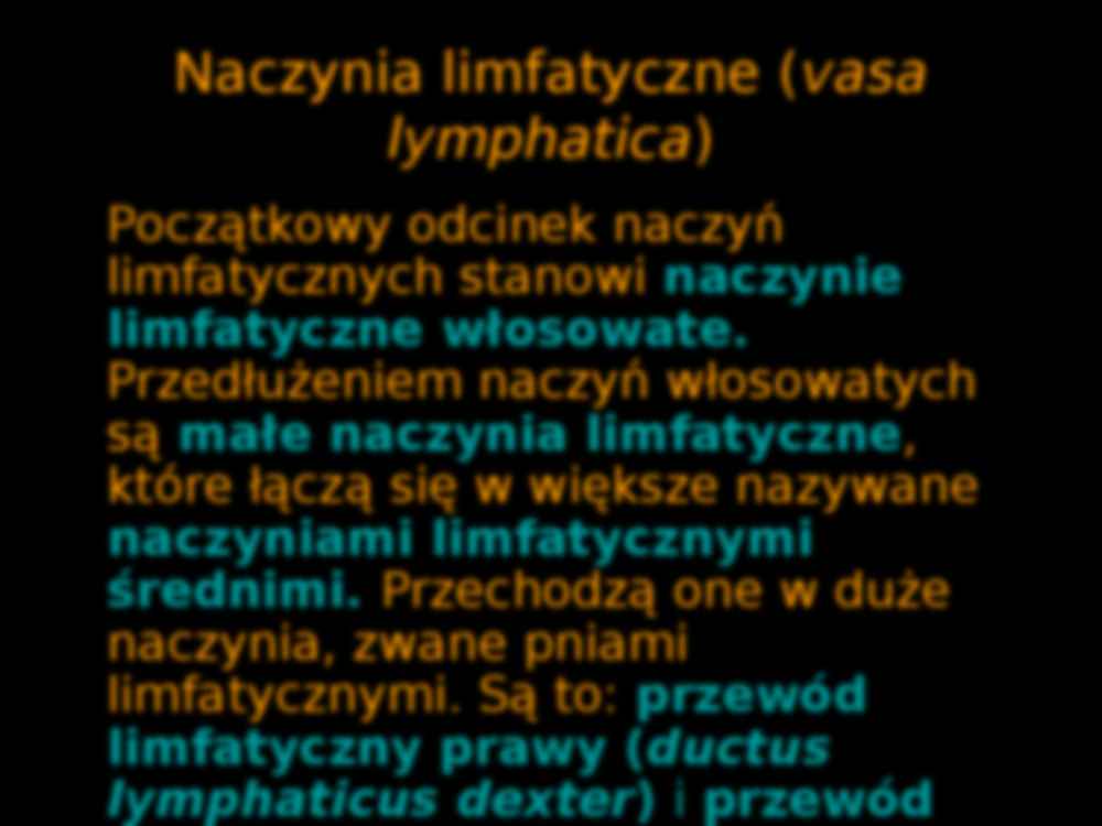 Układ limfatyczny - strona 3