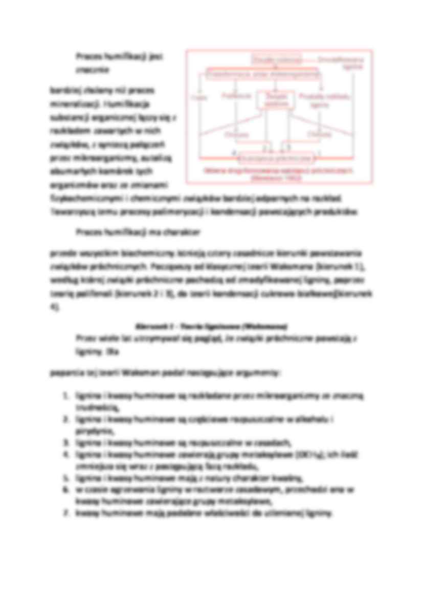 Powstawanie substancji próchnicznych - strona 3