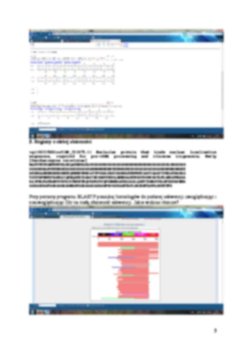 Sprawozdanie o BLAST - strona 3