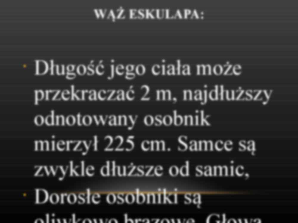 Wąż Eskulapa - strona 3