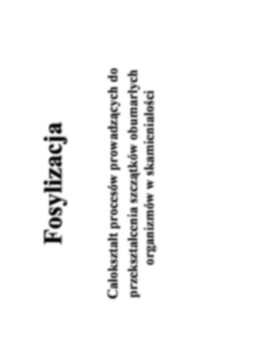 Fosylizacja - strona 3